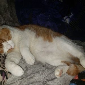 Meet your Posher, Stacy